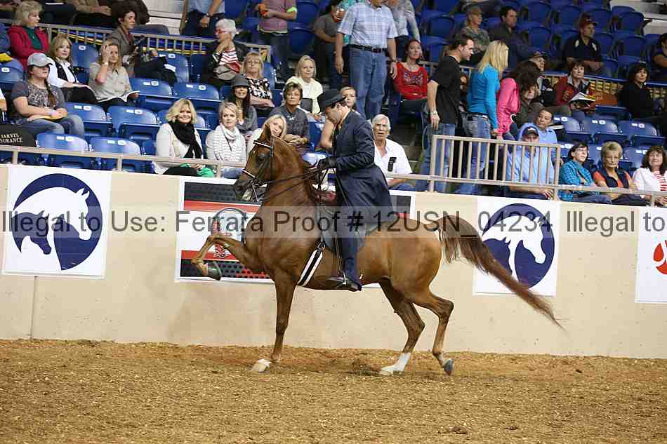 Proof 12usn_04234