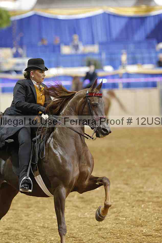 Proof 12usn_04235