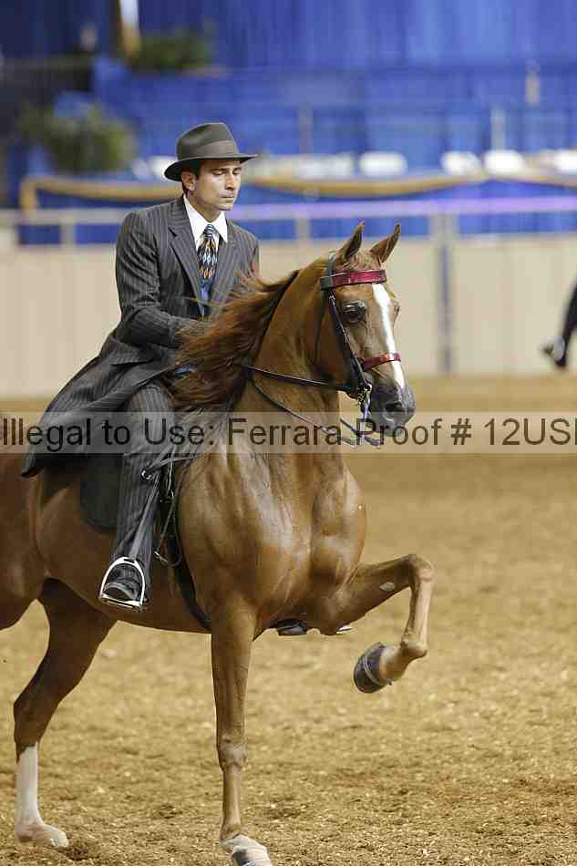Proof 12usn_04238