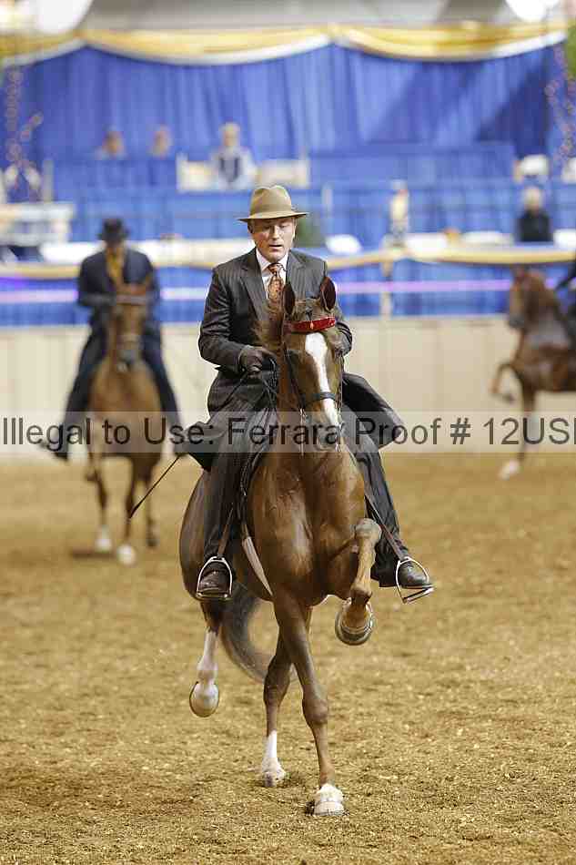 Proof 12usn_04249