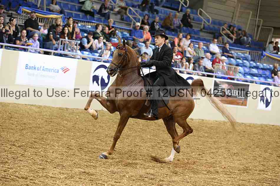 Proof 12usn_04253