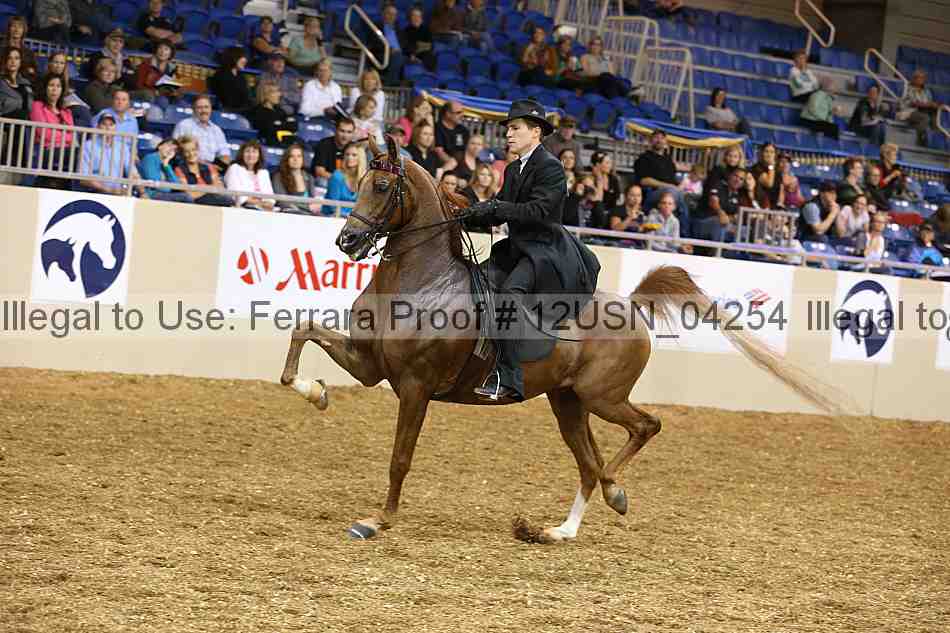 Proof 12usn_04254