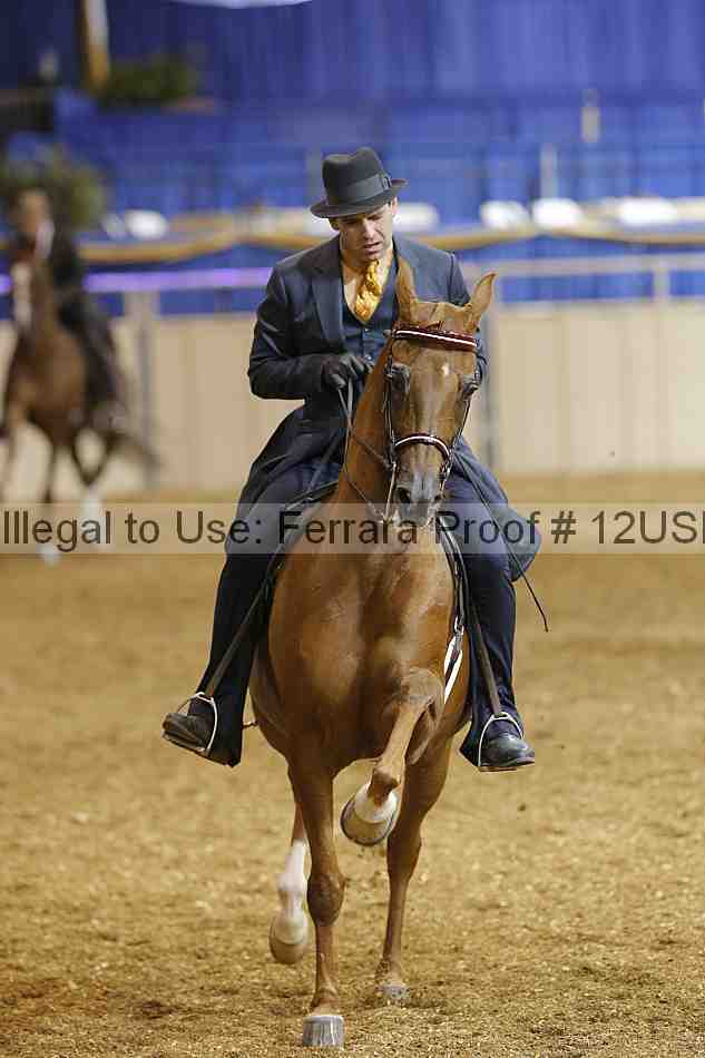 Proof 12usn_04257