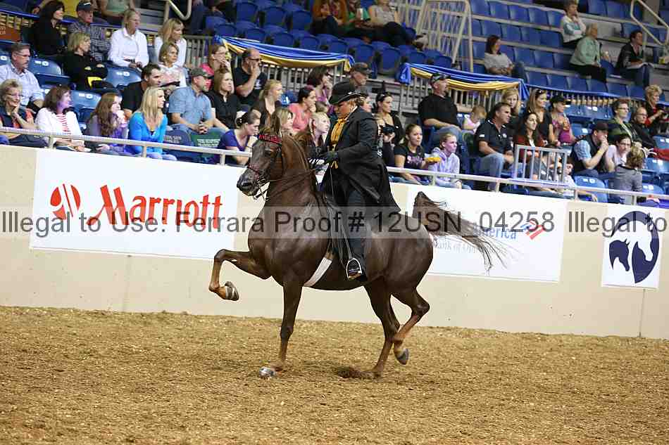 Proof 12usn_04258