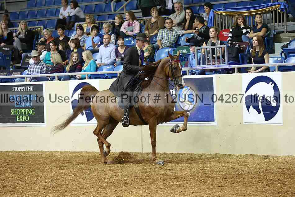 Proof 12usn_04267