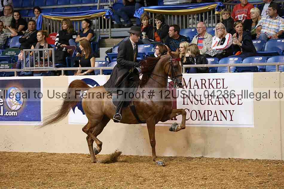 Proof 12usn_04286