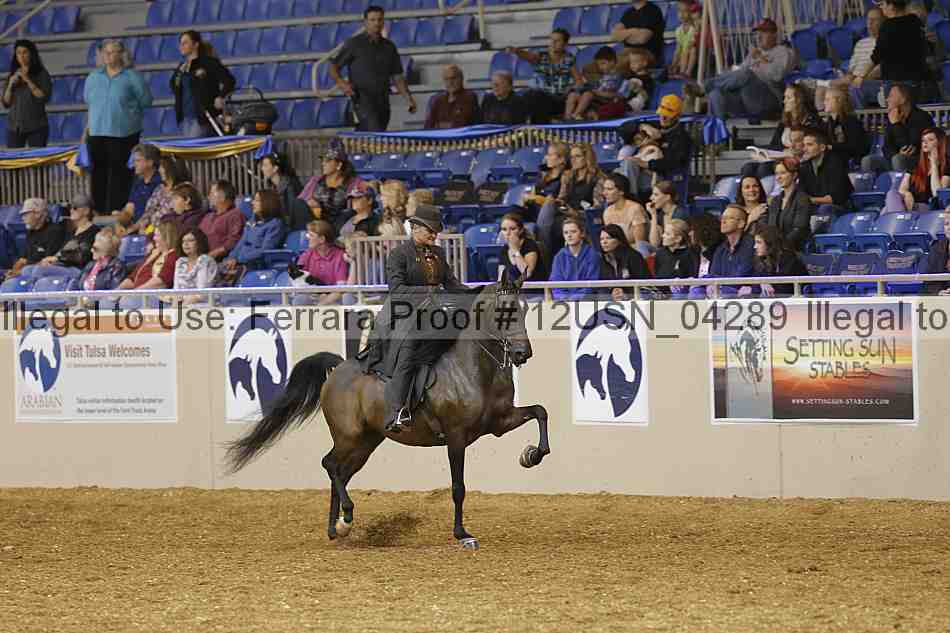 Proof 12usn_04289