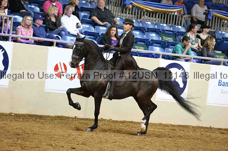 Proof 12usn_13148