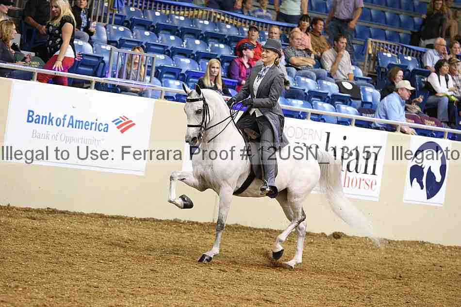 Proof 12usn_13157