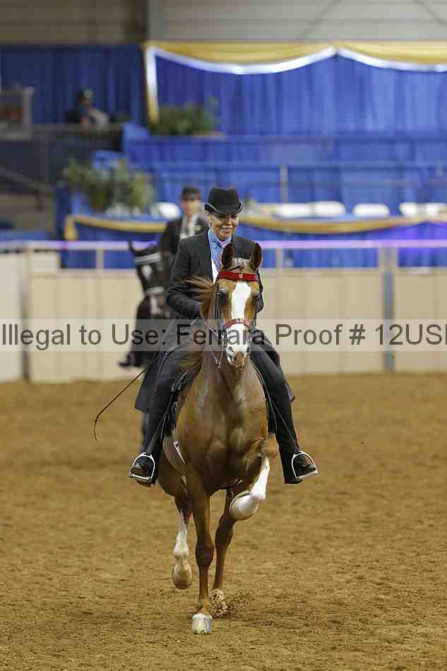 Proof 12usn_13159