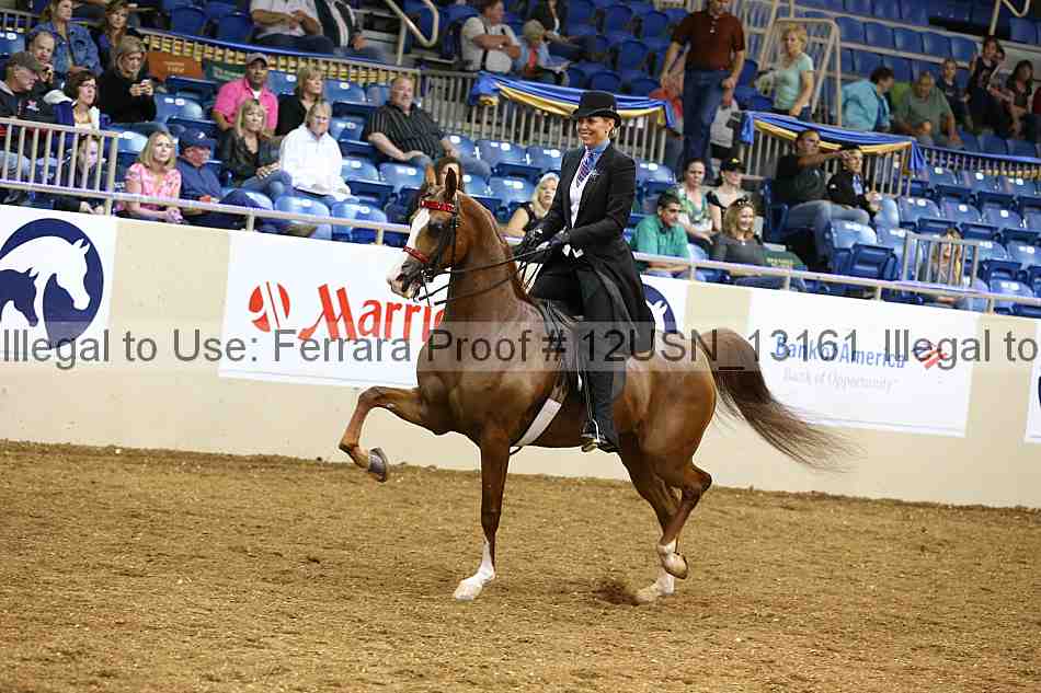 Proof 12usn_13161