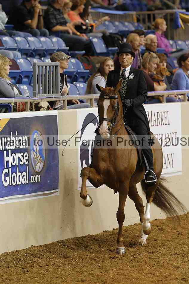 Proof 12usn_13185