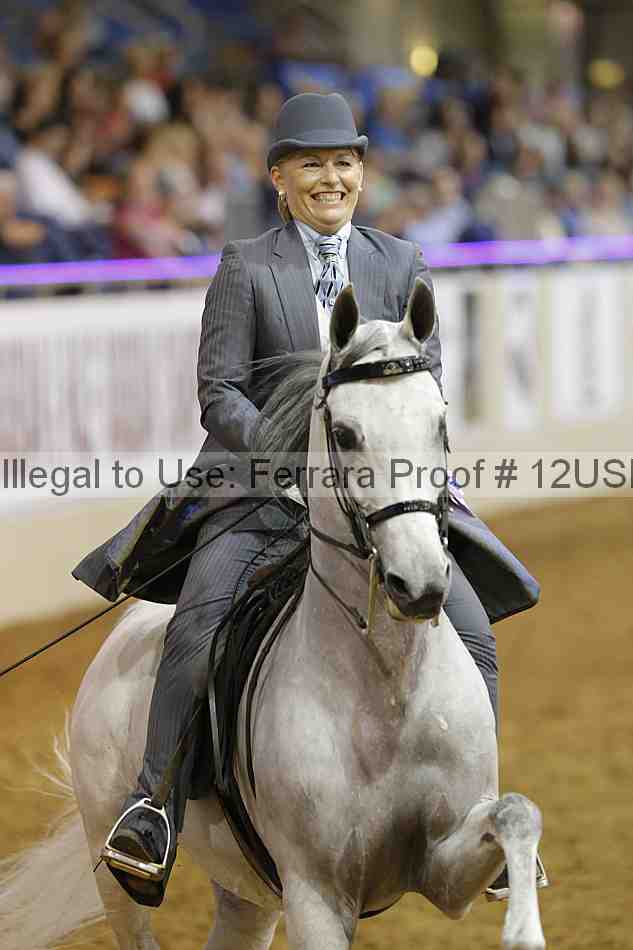 Proof 12usn_13207