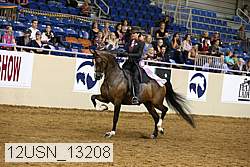 12usn_13208 proof