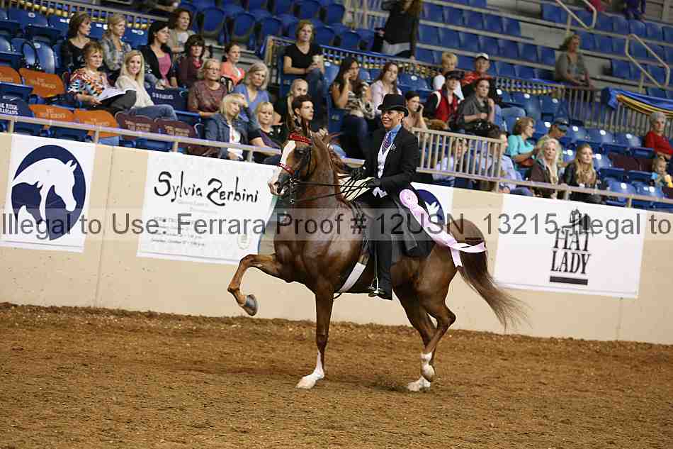 Proof 12usn_13215