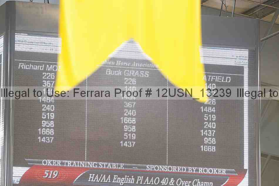 Proof 12usn_13239