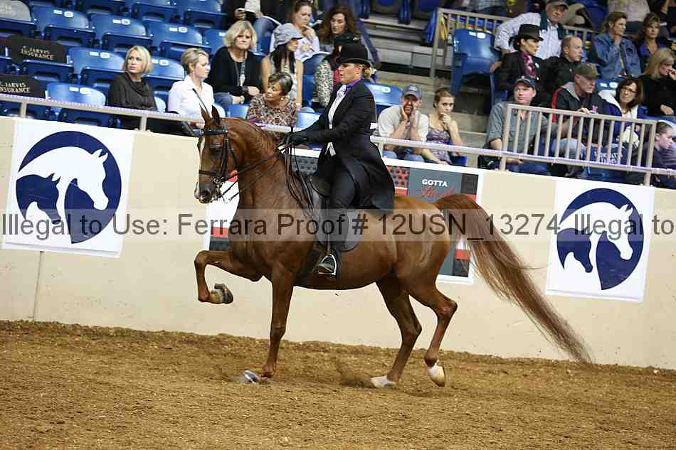 Proof 12usn_13274