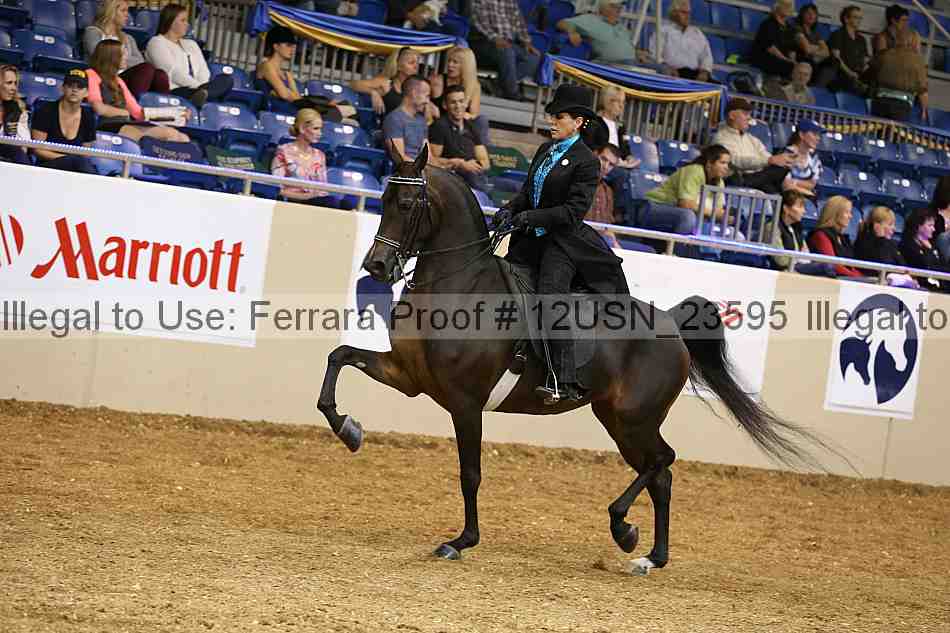 Proof 12usn_23595