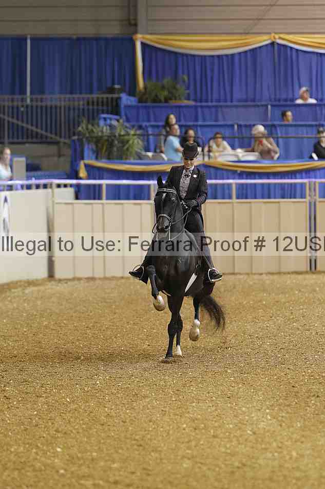 Proof 12usn_16608