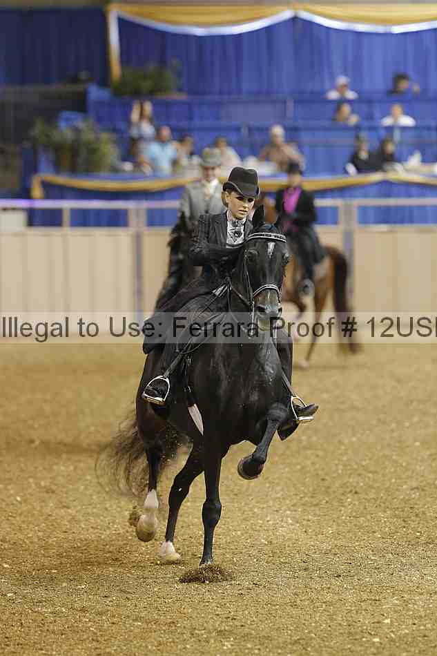 Proof 12usn_16619