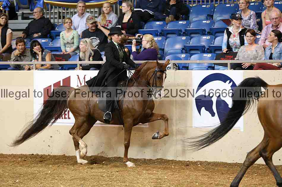 Proof 12usn_16666
