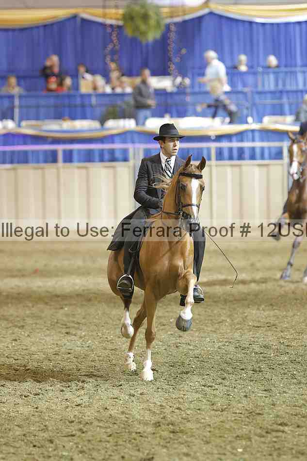 Proof 12usn_38074