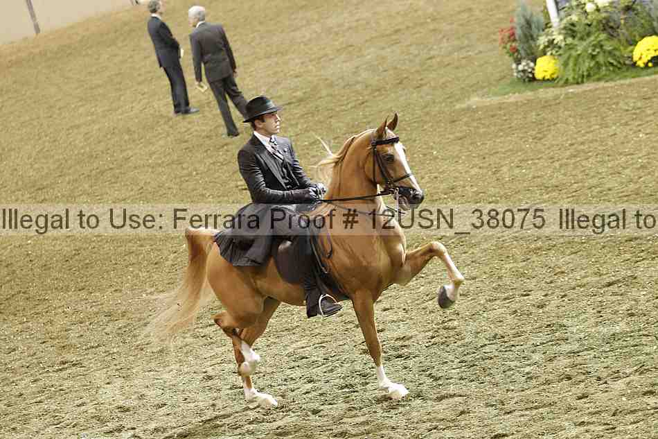 Proof 12usn_38075