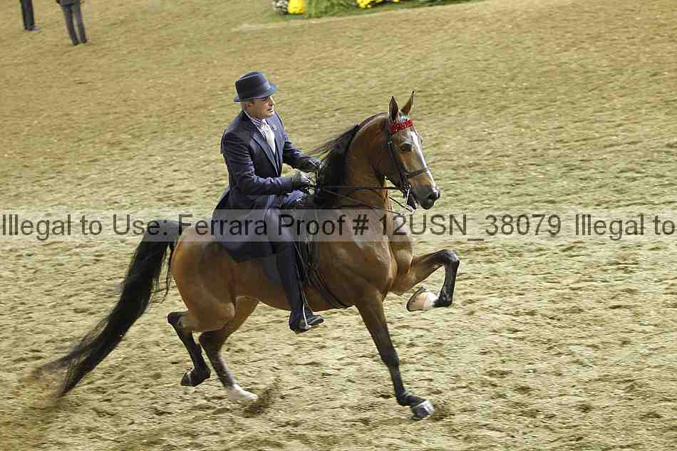 Proof 12usn_38079