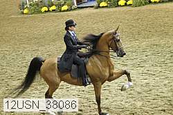 12usn_38086 proof