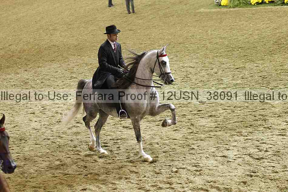 Proof 12usn_38091