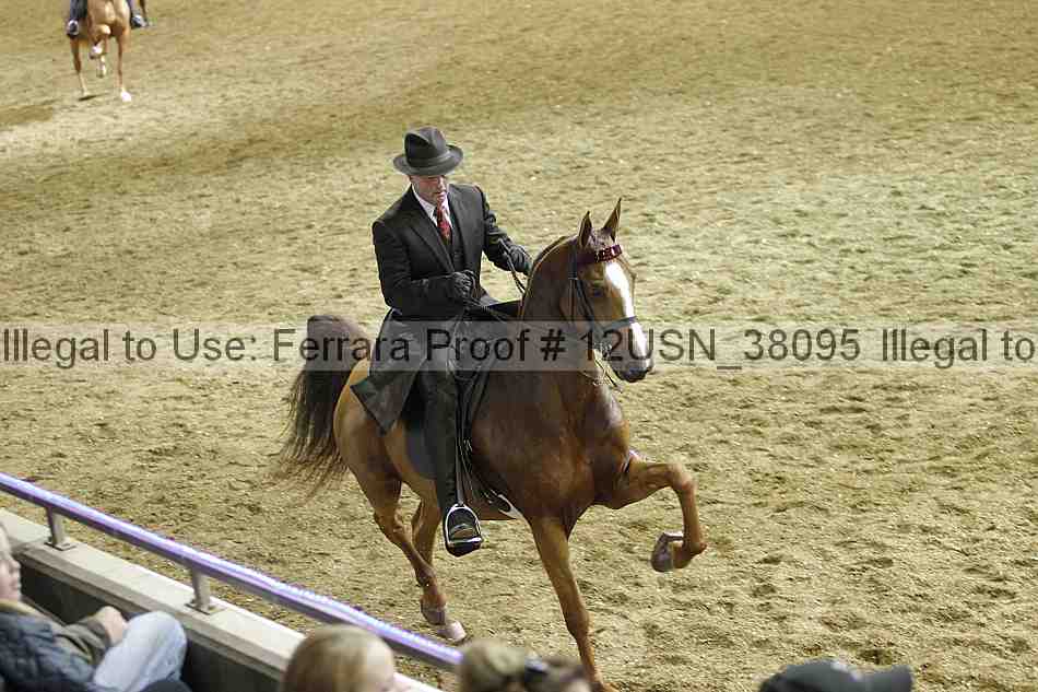 Proof 12usn_38095