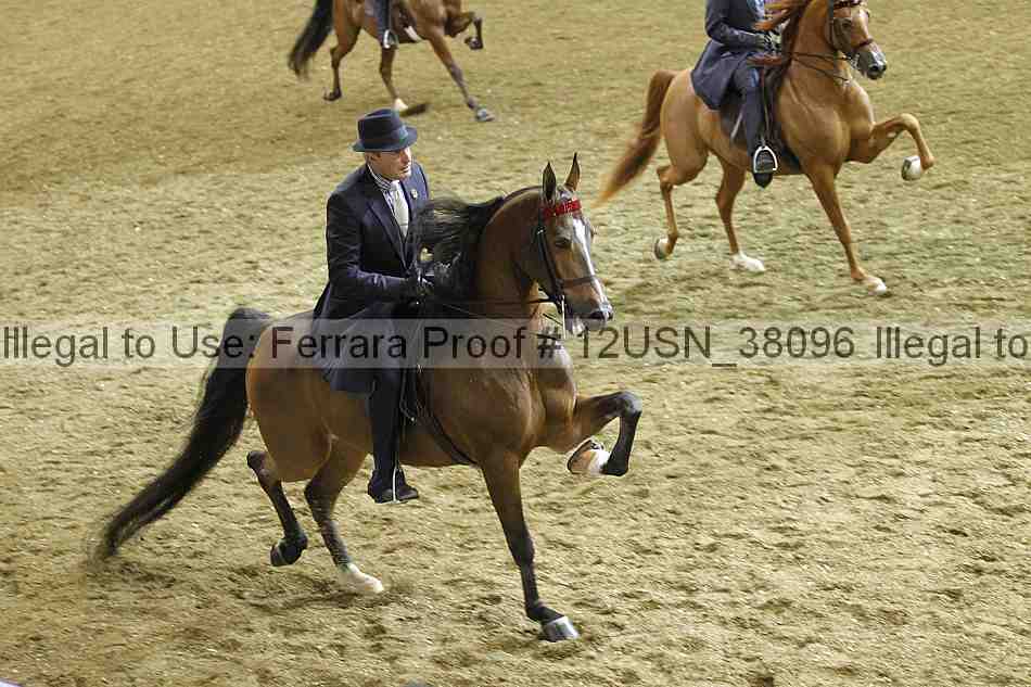 Proof 12usn_38096