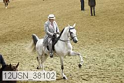 12usn_38102 proof
