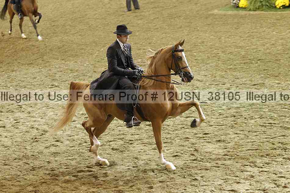 Proof 12usn_38105