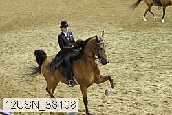 12usn_38108 proof