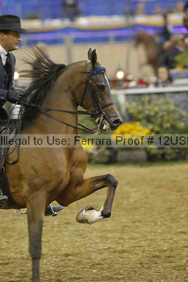 Proof 12usn_38109