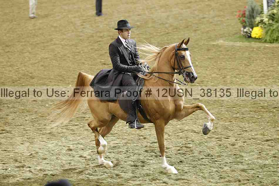 Proof 12usn_38135