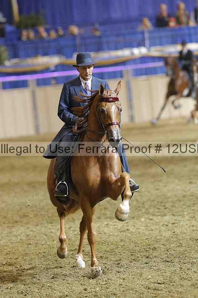 Proof 12usn_38144
