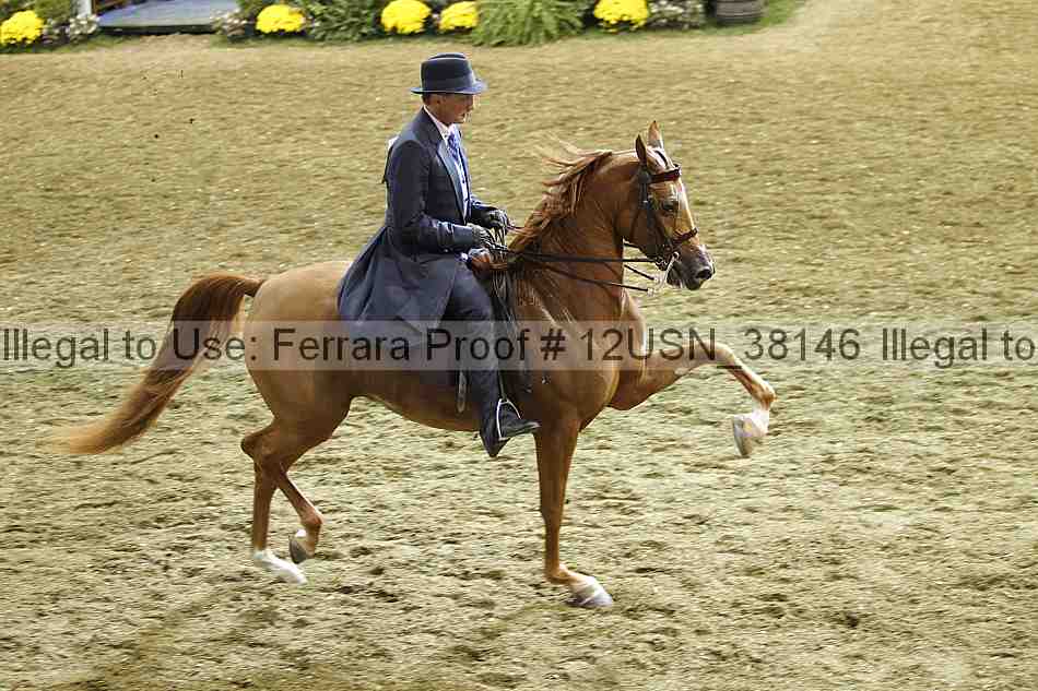 Proof 12usn_38146
