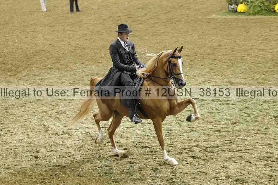 Proof 12usn_38153