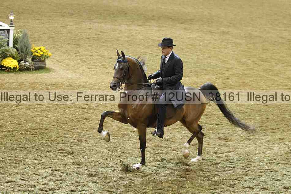 Proof 12usn_38161