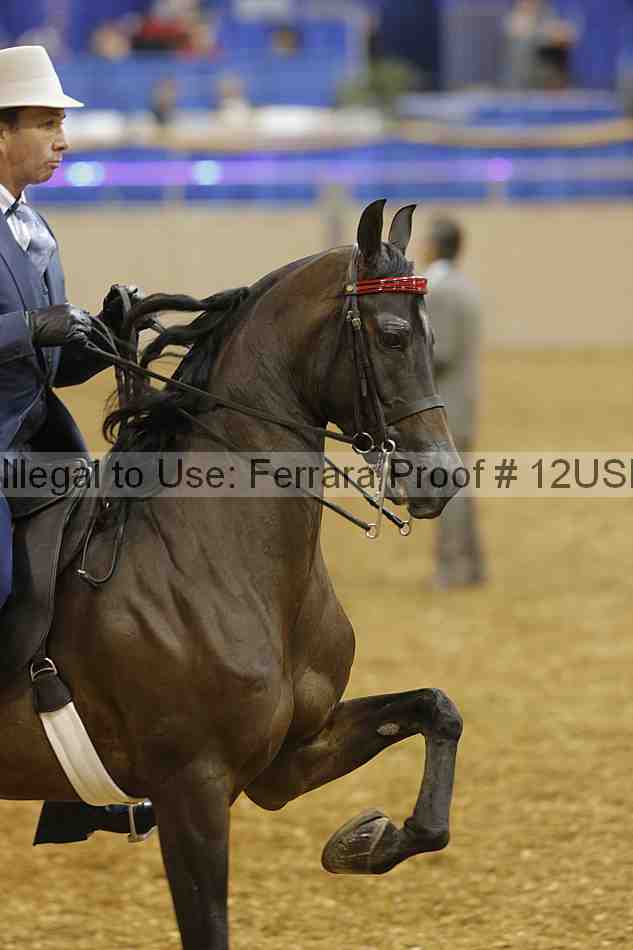 Proof 12usn_03091