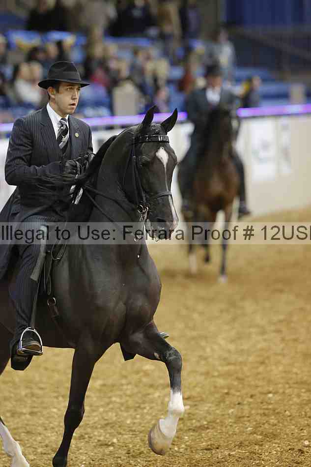 Proof 12usn_03096