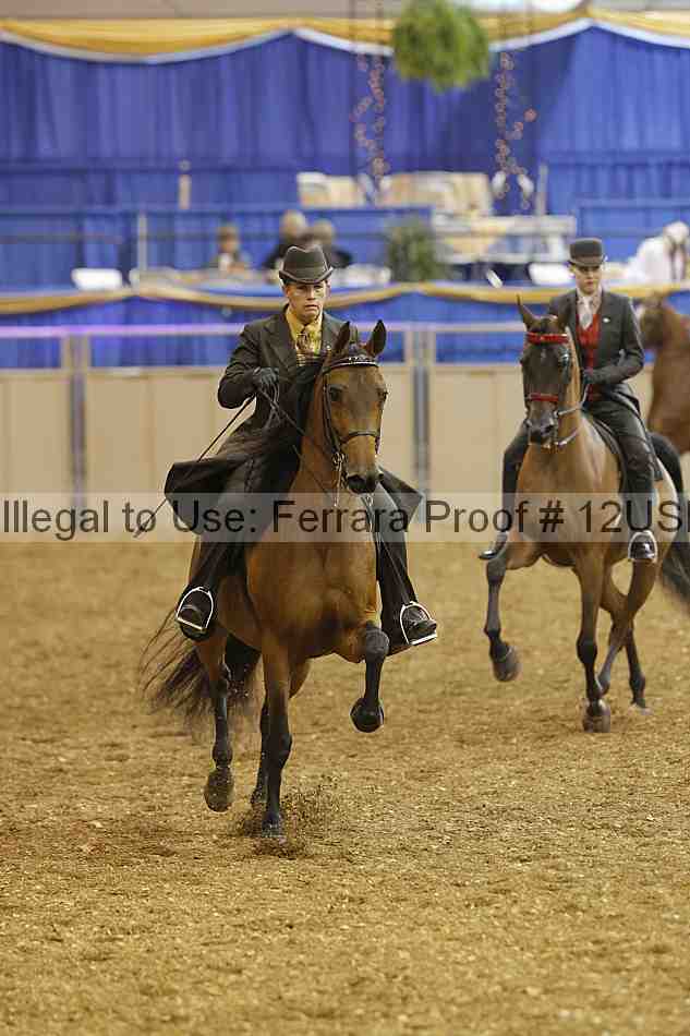 Proof 12usn_03103