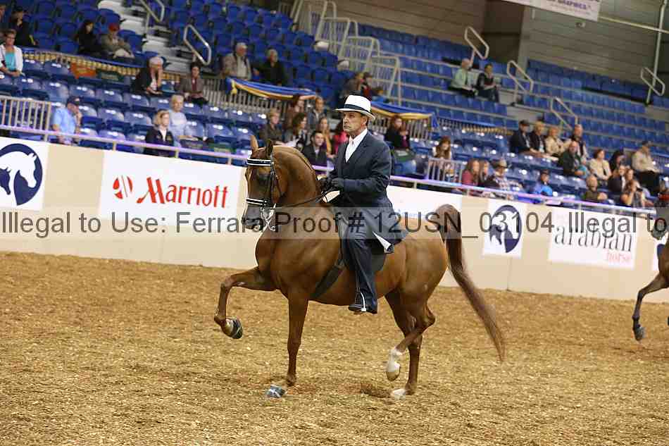 Proof 12usn_03104