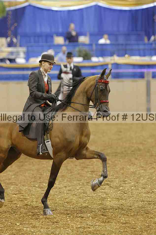 Proof 12usn_03105