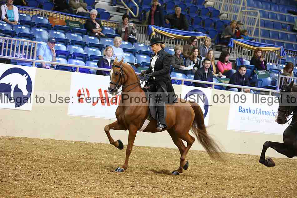 Proof 12usn_03109