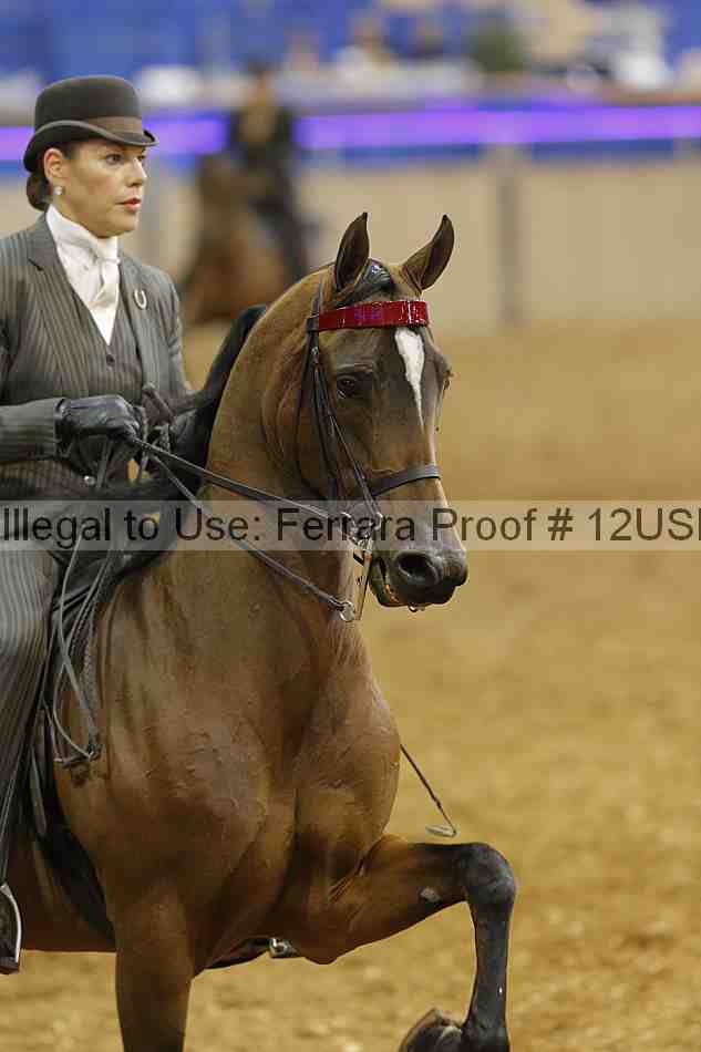 Proof 12usn_03130