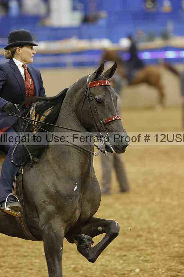 Proof 12usn_03139