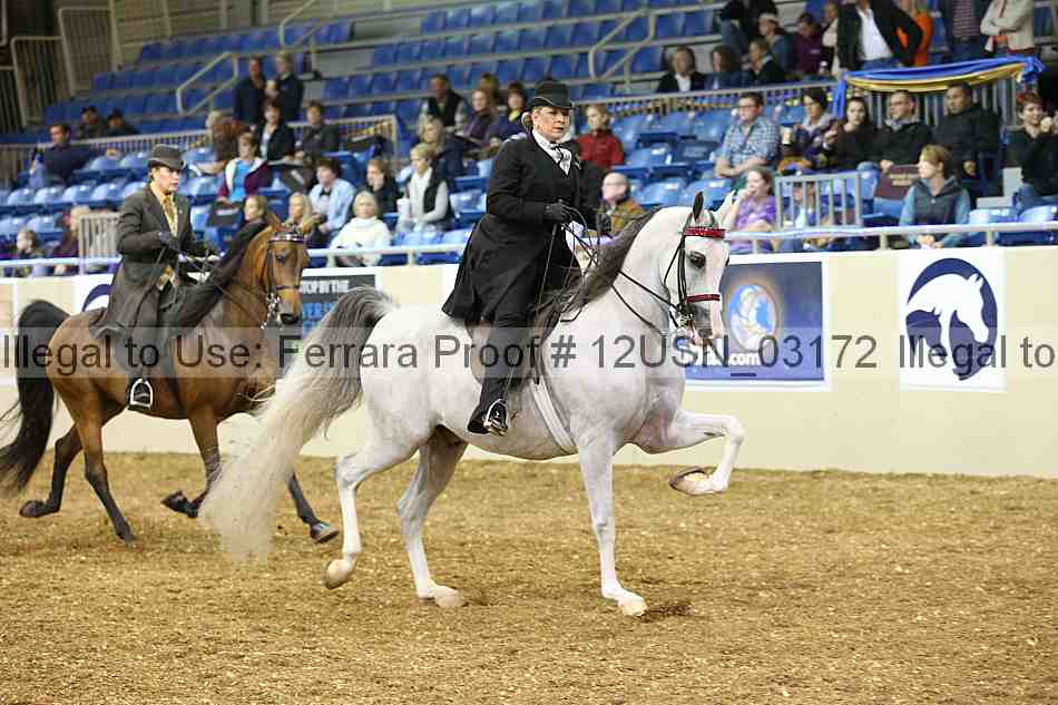 Proof 12usn_03172